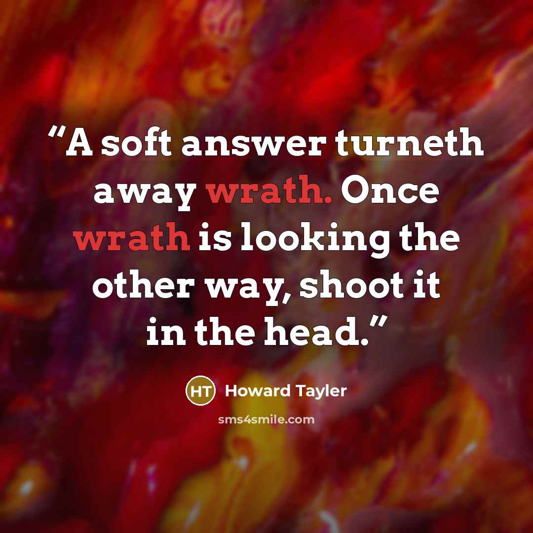 “A soft answer turneth away wrath. Once wrath is looking the other way, shoot it in the head.” quote by Howard Tayler