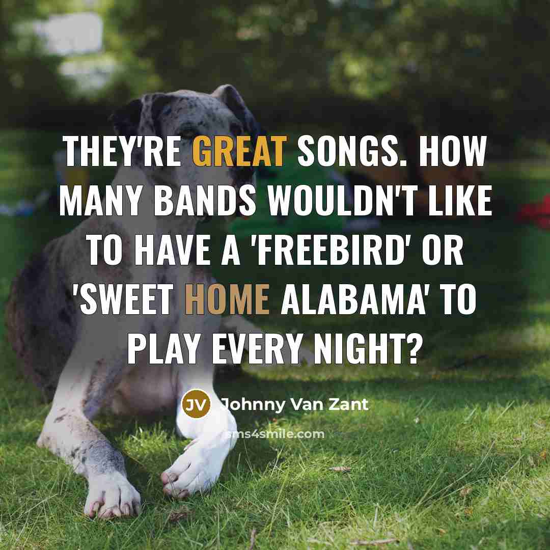 “They're great songs. How many bands wouldn't like to have a 'Freebird' or 'Sweet Home Alabama' to play every night?” quote by Johnny Van Zant