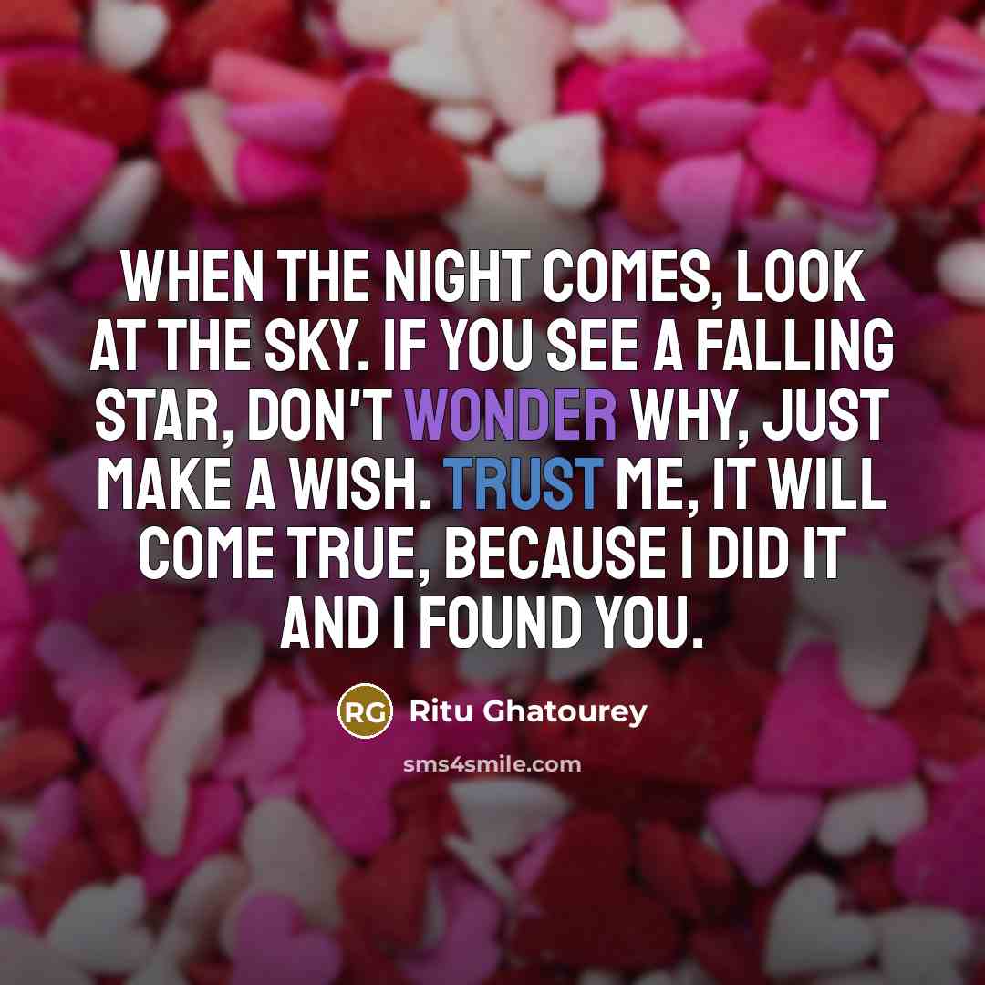 “When the night comes, look at the sky. If you see a falling star, don't wonder why, just make a wish. Trust me, it will come true, because I did it and I found you.” quote by Ritu Ghatourey
