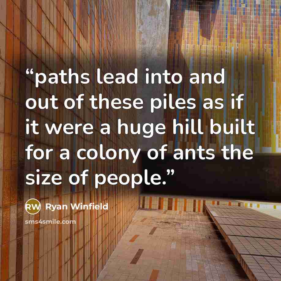 “paths lead into and out of these piles as if it were a huge hill built for a colony of ants the size of people.” quote by Ryan Winfield