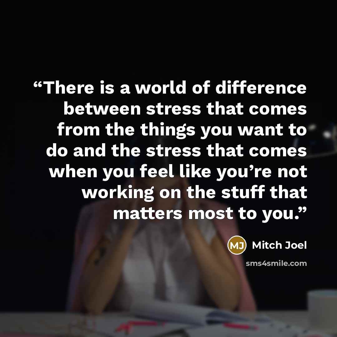 “There is a world of difference between stress that comes from the things you want to do and the stress that comes when you feel like you’re not working on the stuff that matters most to you.” quote by Mitch Joel