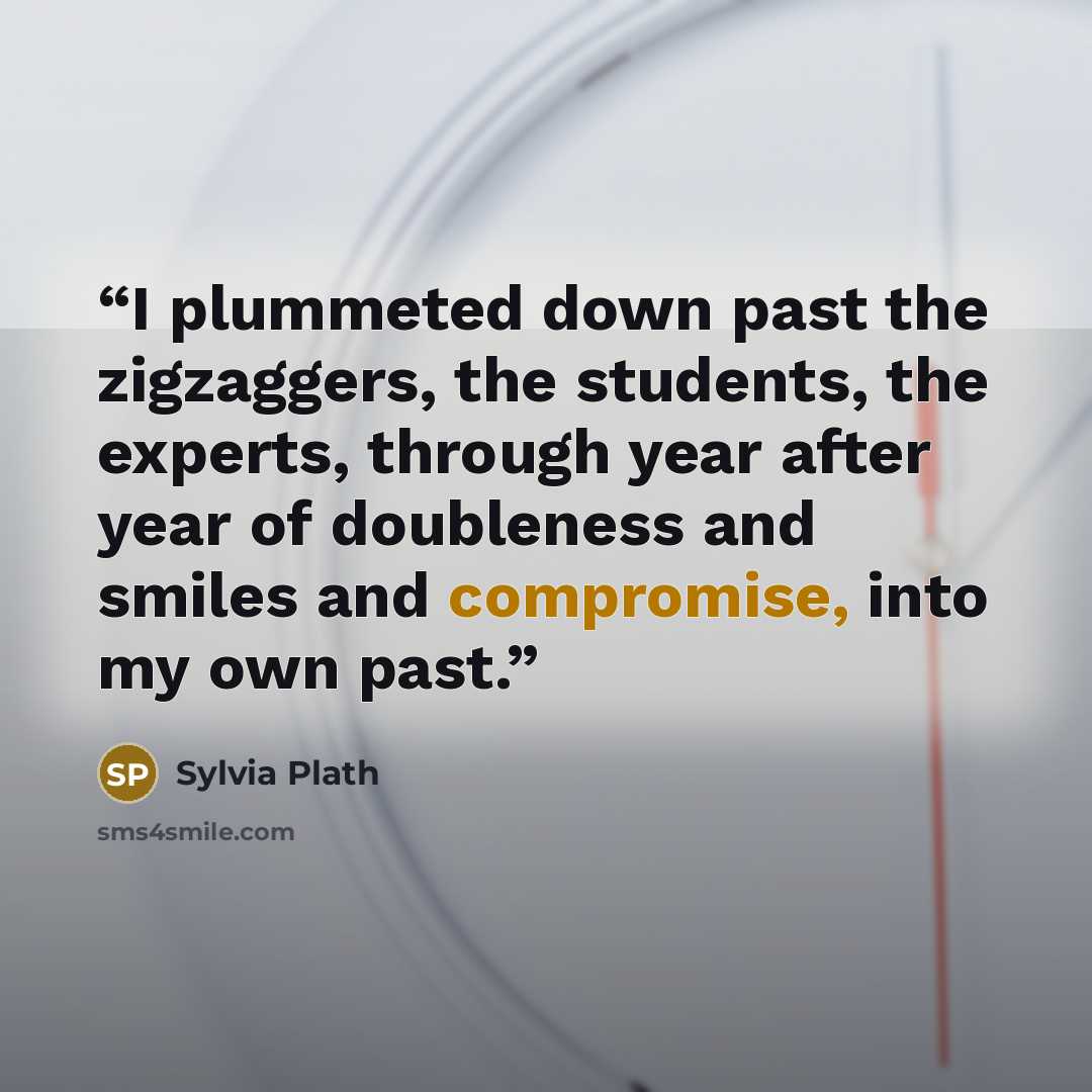 “I plummeted down past the zigzaggers, the students, the experts, through year after year of doubleness and smiles and compromise, into my own past.” quote by Sylvia Plath
