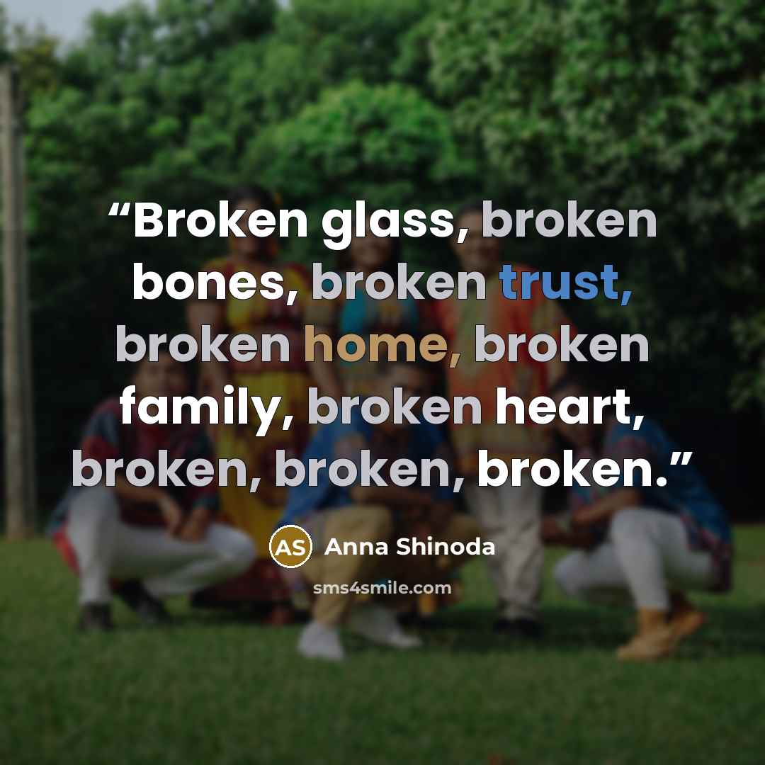 “Broken glass, broken bones, broken trust, broken home, broken family, broken heart, broken, broken, broken.” quote by Anna Shinoda