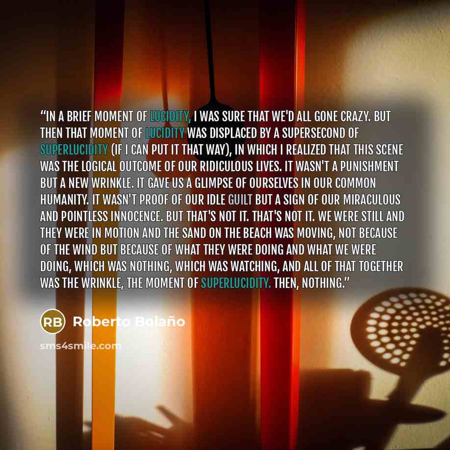 “In a brief moment of lucidity, I was sure that we'd all gone crazy. But then that moment of lucidity was displaced by a supersecond of superlucidity (if I can put it that way), in which I realized that this scene was the logical outcome of our ridiculous lives. It wasn't a punishment but a new…” quote by Roberto Bolaño