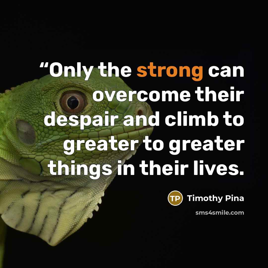 ““Only the strong can overcome their despair and climb to greater to greater things in their lives.” quote by Timothy Pina