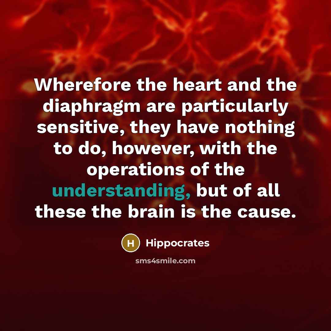 “Wherefore the heart and the diaphragm are particularly sensitive, they have nothing to do, however, with the operations of the understanding, but of all these the brain is the cause.” quote by Hippocrates
