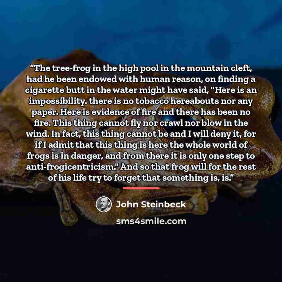 “The tree-frog in the high pool in the mountain cleft, had he been endowed with human reason, on finding a cigarette butt in the water might have said, "Here is an impossibility. there is no tobacco hereabouts nor any paper. Here is evidence of fire and there has been no fire. This thing cannot fly…” quote by John Steinbeck