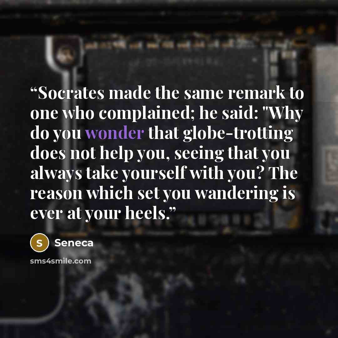 “Socrates made the same remark to one who complained; he said: "Why do you wonder that globe-trotting does not help you, seeing that you always take yourself with you? The reason which set you wandering is ever at your heels.” quote by Seneca