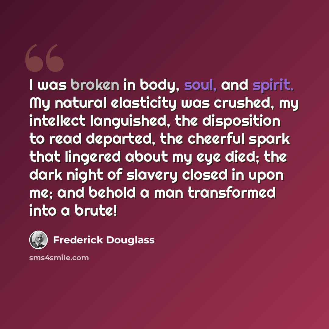 “I was broken in body, soul, and spirit. My natural elasticity was crushed, my intellect languished, the disposition to read departed, the cheerful spark that lingered about my eye died; the dark night of slavery closed in upon me; and behold a man transformed into a brute!” quote by Frederick Douglass