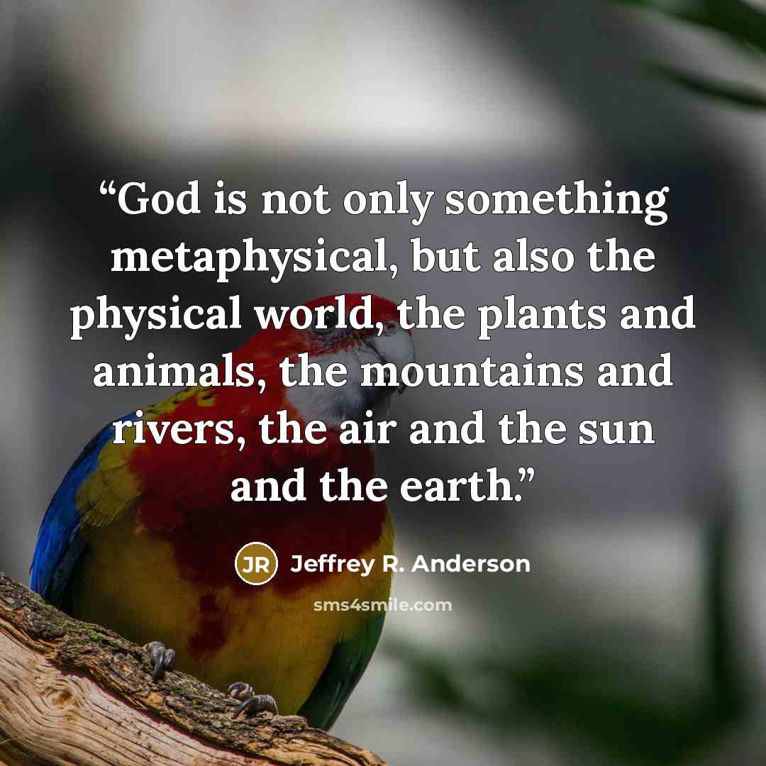 “God is not only something metaphysical, but also the physical world, the plants and animals, the mountains and rivers, the air and the sun and the earth.” quote by Jeffrey R. Anderson