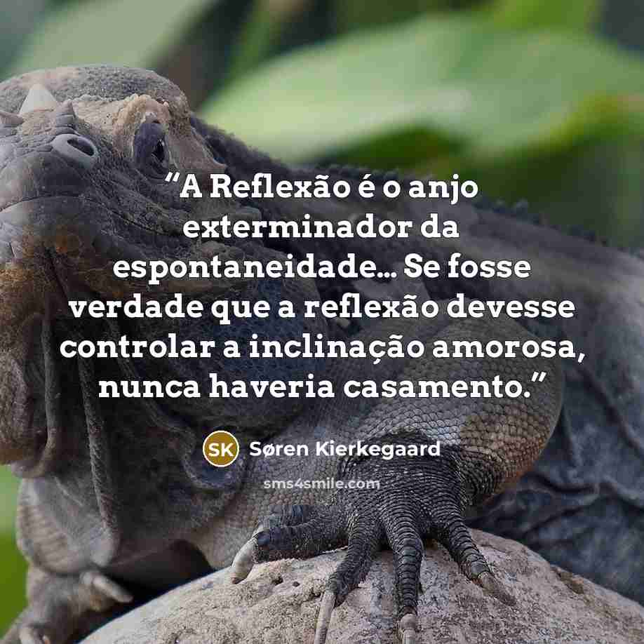 “A Reflexão é o anjo exterminador da espontaneidade… Se fosse verdade que a reflexão devesse controlar a inclinação amorosa, nunca haveria casamento.” quote by Søren Kierkegaard