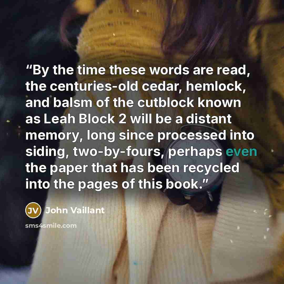 “By the time these words are read, the centuries-old cedar, hemlock, and balsm of the cutblock known as Leah Block 2 will be a distant memory, long since processed into siding, two-by-fours, perhaps even the paper that has been recycled into the pages of this book.” quote by John Vaillant