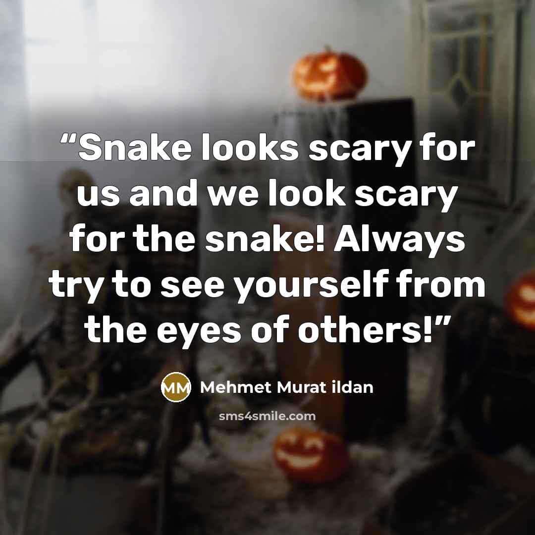 “Snake looks scary for us and we look scary for the snake! Always try to see yourself from the eyes of others!” quote by Mehmet Murat ildan