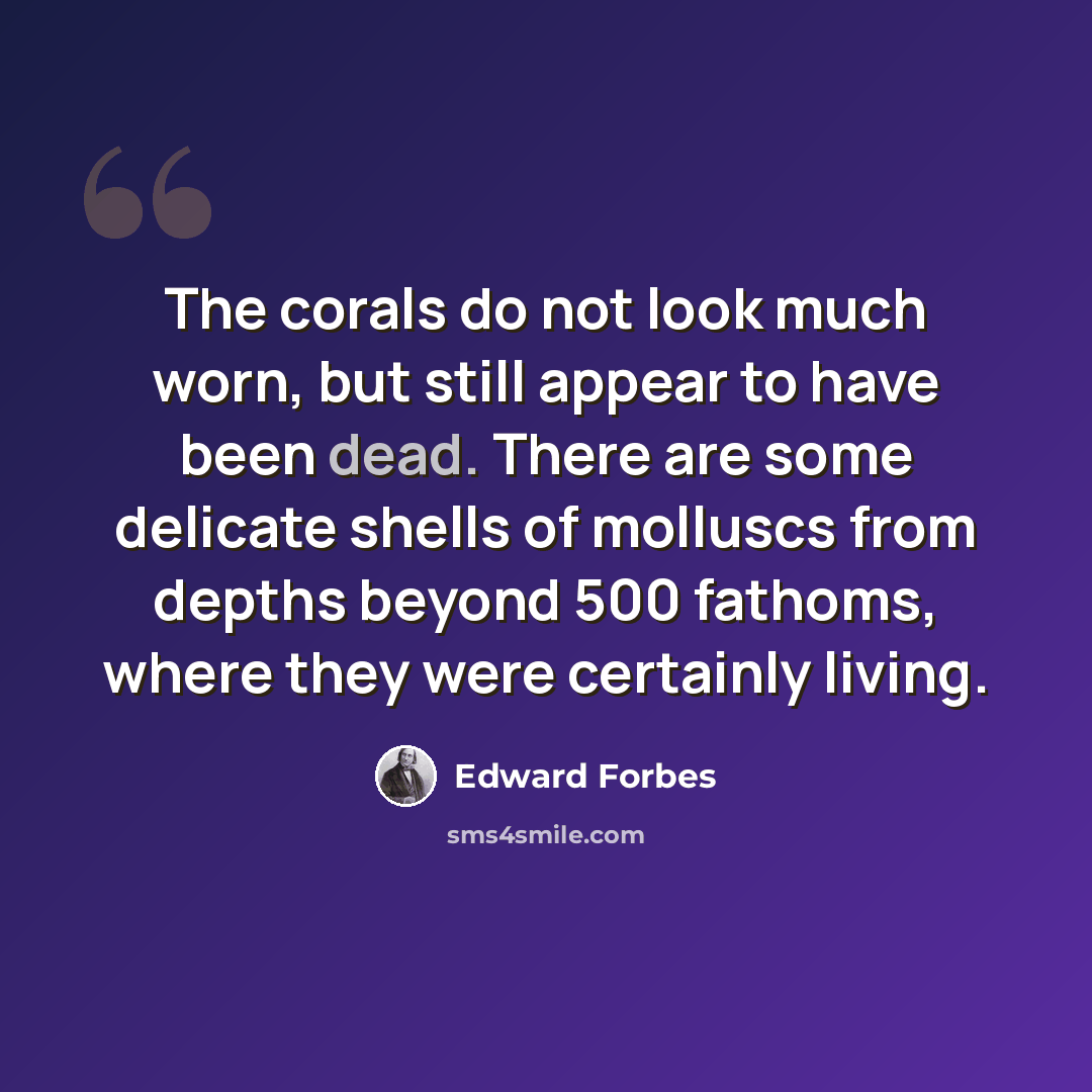 “The corals do not look much worn, but still appear to have been dead. There are some delicate shells of molluscs from depths beyond 500 fathoms, where they were certainly living.” quote by Edward Forbes