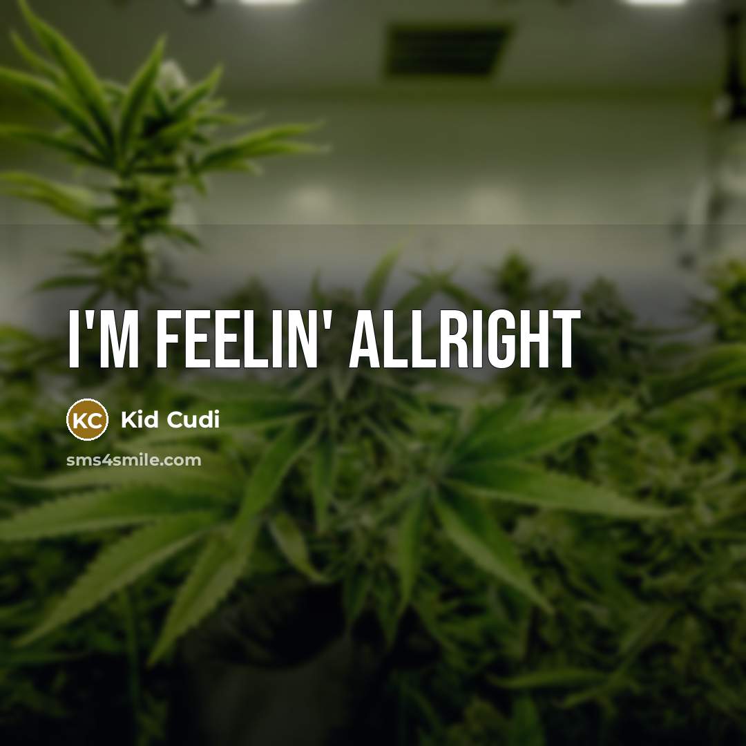 “I'm feelin' allright” quote by Kid Cudi