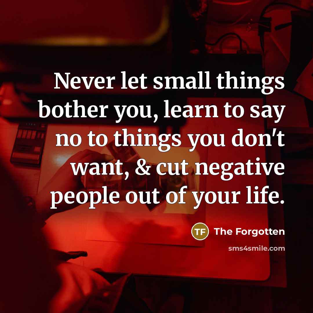 “Never let small things bother you, learn to say no to things you don't want, & cut negative people out of your life.” quote by The Forgotten