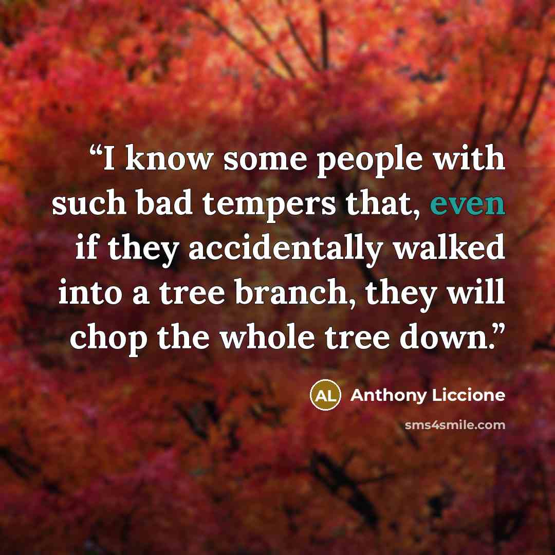 “I know some people with such bad tempers that, even if they accidentally walked into a tree branch, they will chop the whole tree down.” quote by Anthony Liccione