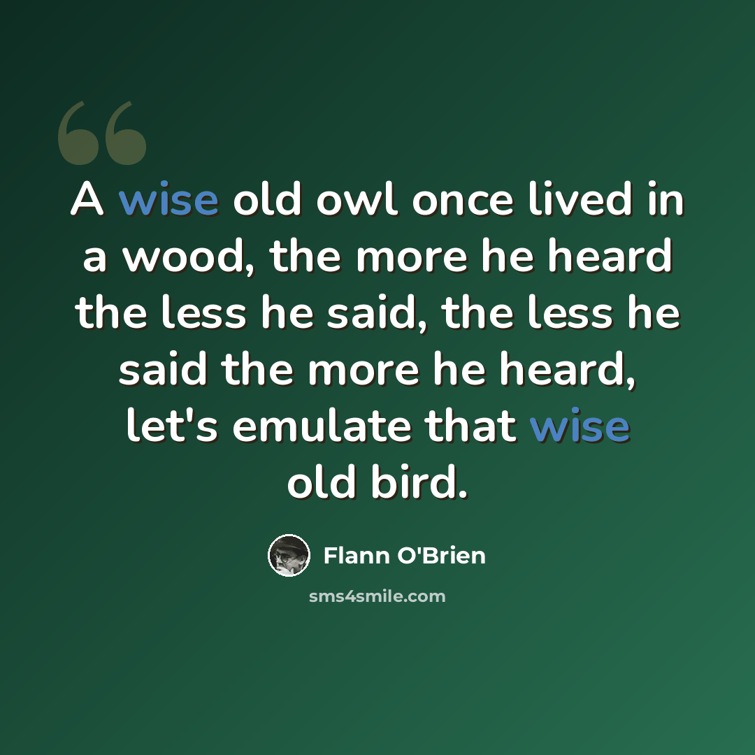 “A wise old owl once lived in a wood, the more he heard the less he said, the less he said the more he heard, let's emulate that wise old bird.” quote by Flann O'Brien