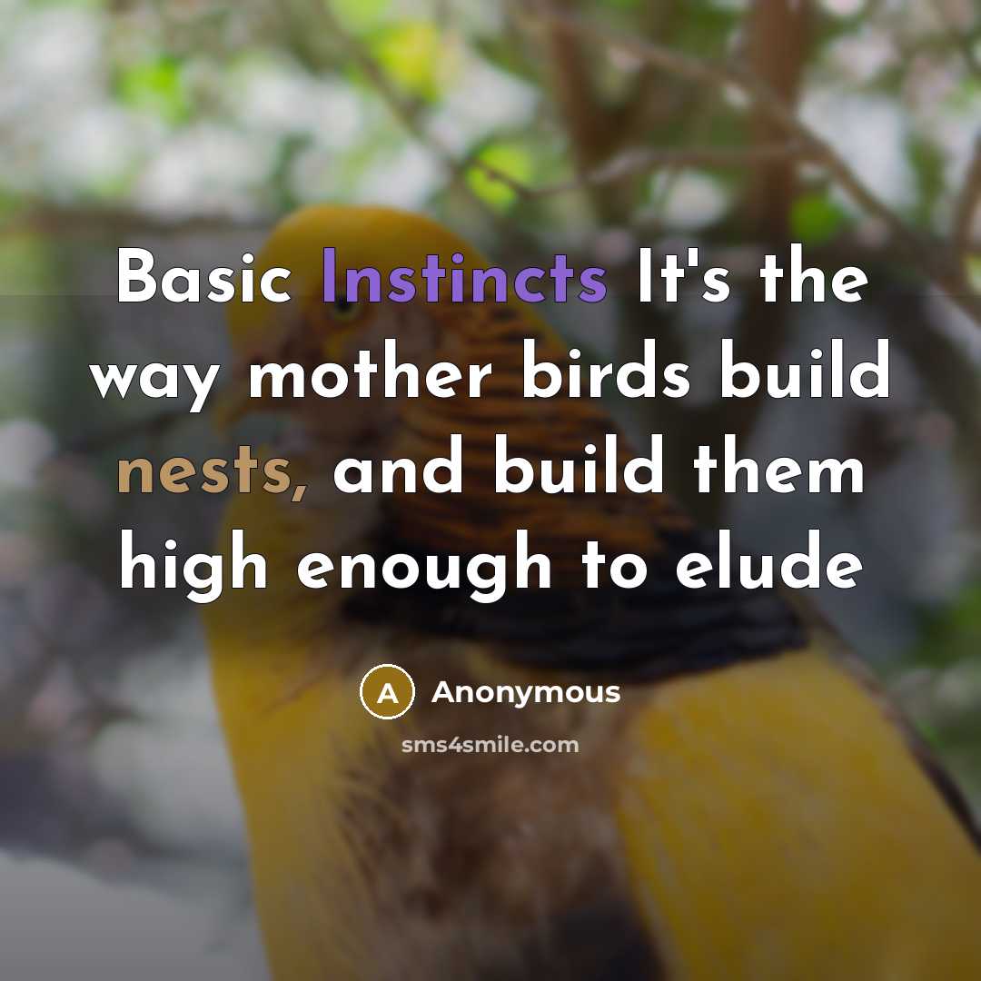 “Basic Instincts It's the way mother birds build nests, and build them high enough to elude” quote by Anonymous