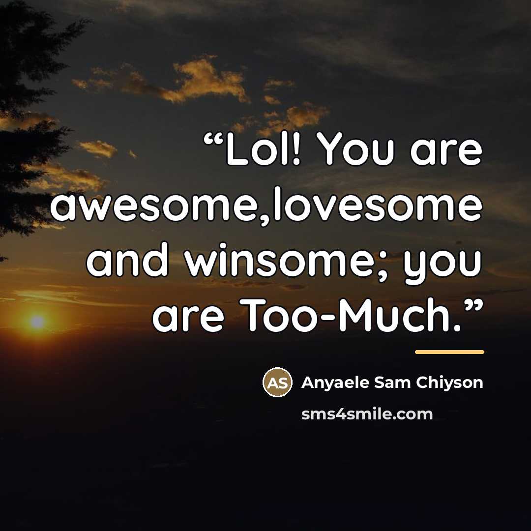 “Lol! You are awesome,lovesome and winsome; you are Too-Much.” quote by Anyaele Sam Chiyson