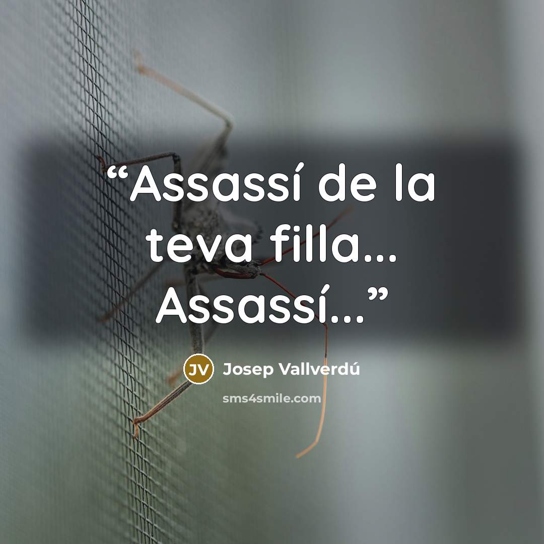 “Assassí de la teva filla... Assassí...” quote by Josep Vallverdú