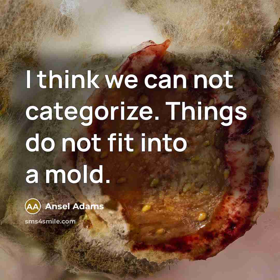 “I think we can not categorize. Things do not fit into a mold.” quote by Ansel Adams