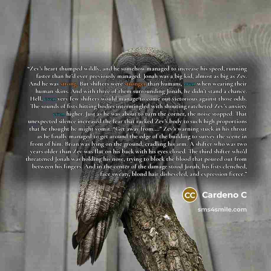 “Zev’s heart thumped wildly, and he somehow managed to increase his speed, running faster than he’d ever previously managed. Jonah was a big kid, almost as big as Zev. And he was strong. But shifters were stronger than humans, even when wearing their human skins. And with three of them surrounding…” quote by Cardeno C