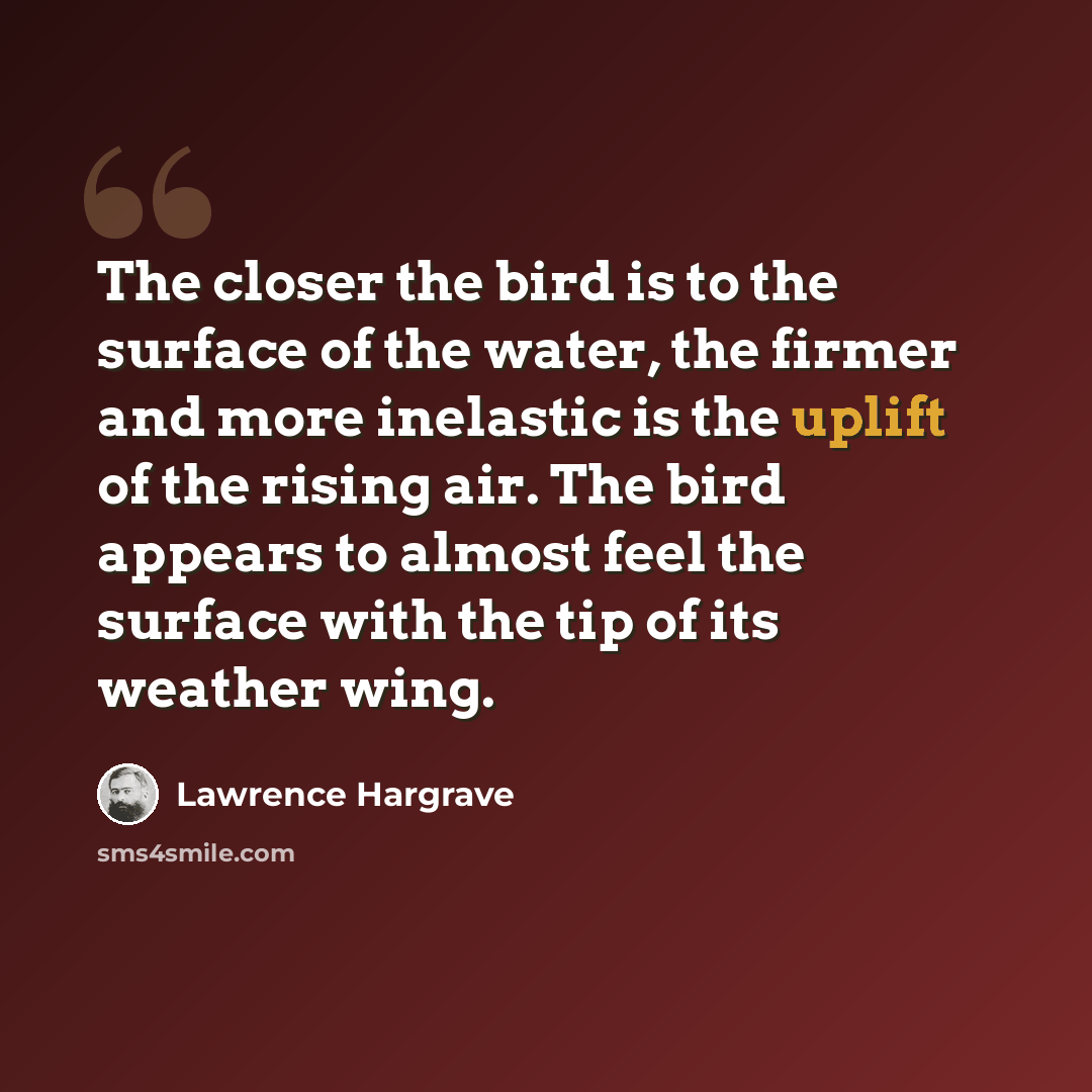 “The closer the bird is to the surface of the water, the firmer and more inelastic is the uplift of the rising air. The bird appears to almost feel the surface with the tip of its weather wing.” quote by Lawrence Hargrave