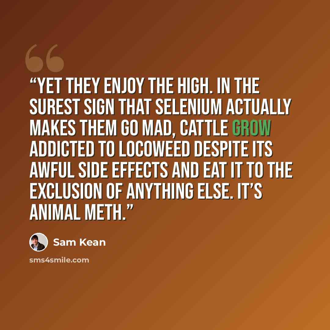 “Yet they enjoy the high. In the surest sign that selenium actually makes them go mad, cattle grow addicted to locoweed despite its awful side effects and eat it to the exclusion of anything else. It’s animal meth.” quote by Sam Kean