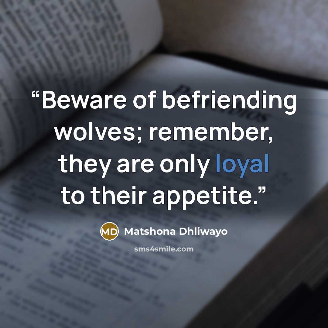 “Beware of befriending wolves; remember, they are only loyal to their appetite.” quote by Matshona Dhliwayo