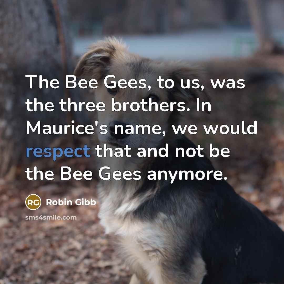 “The Bee Gees, to us, was the three brothers. In Maurice's name, we would respect that and not be the Bee Gees anymore.” quote by Robin Gibb