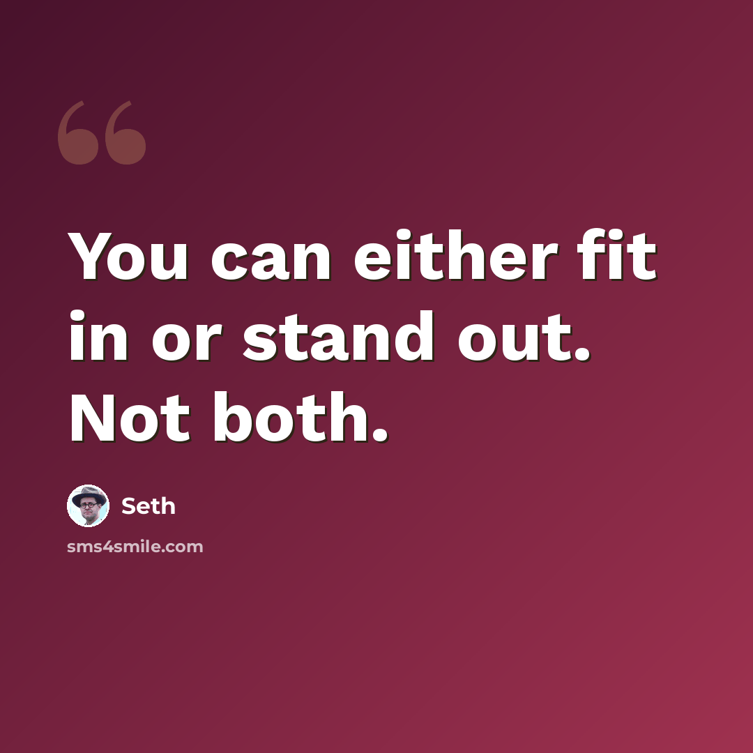 “You can either fit in or stand out. Not both.” quote by Seth
