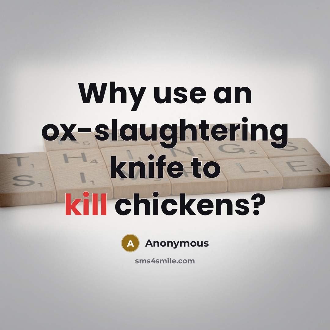 “Why use an ox-slaughtering knife to kill chickens?” quote by Anonymous
