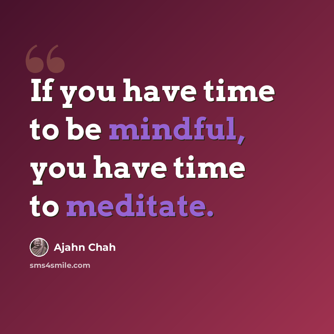 “If you have time to be mindful, you have time to meditate.” quote by Ajahn Chah