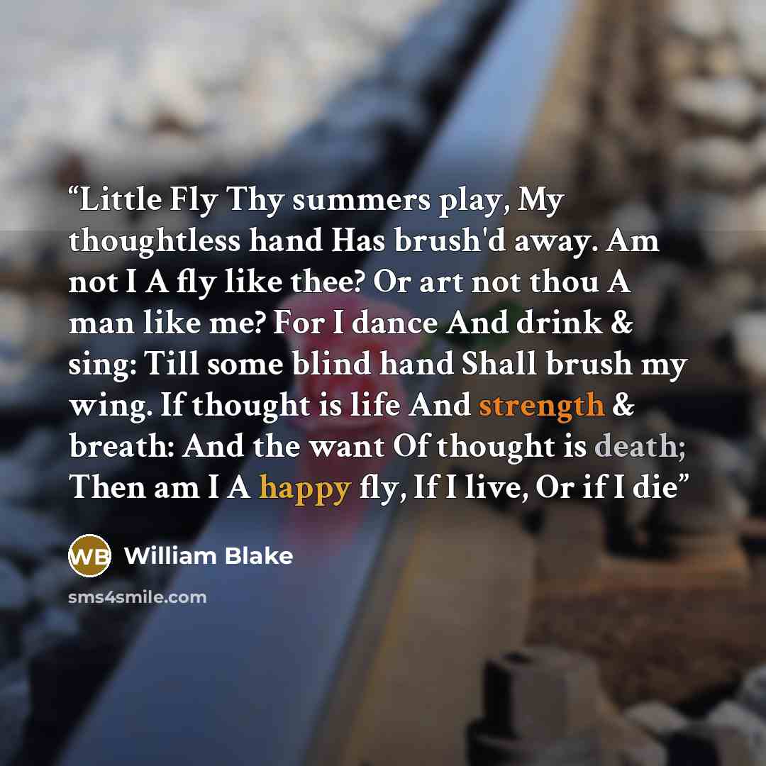 “Little Fly Thy summers play, My thoughtless hand Has brush'd away. Am not I A fly like thee? Or art not thou A man like me? For I dance And drink & sing: Till some blind hand Shall brush my wing. If thought is life And strength & breath: And the want Of thought is death; Then am I A happy fly, If…” quote by William Blake