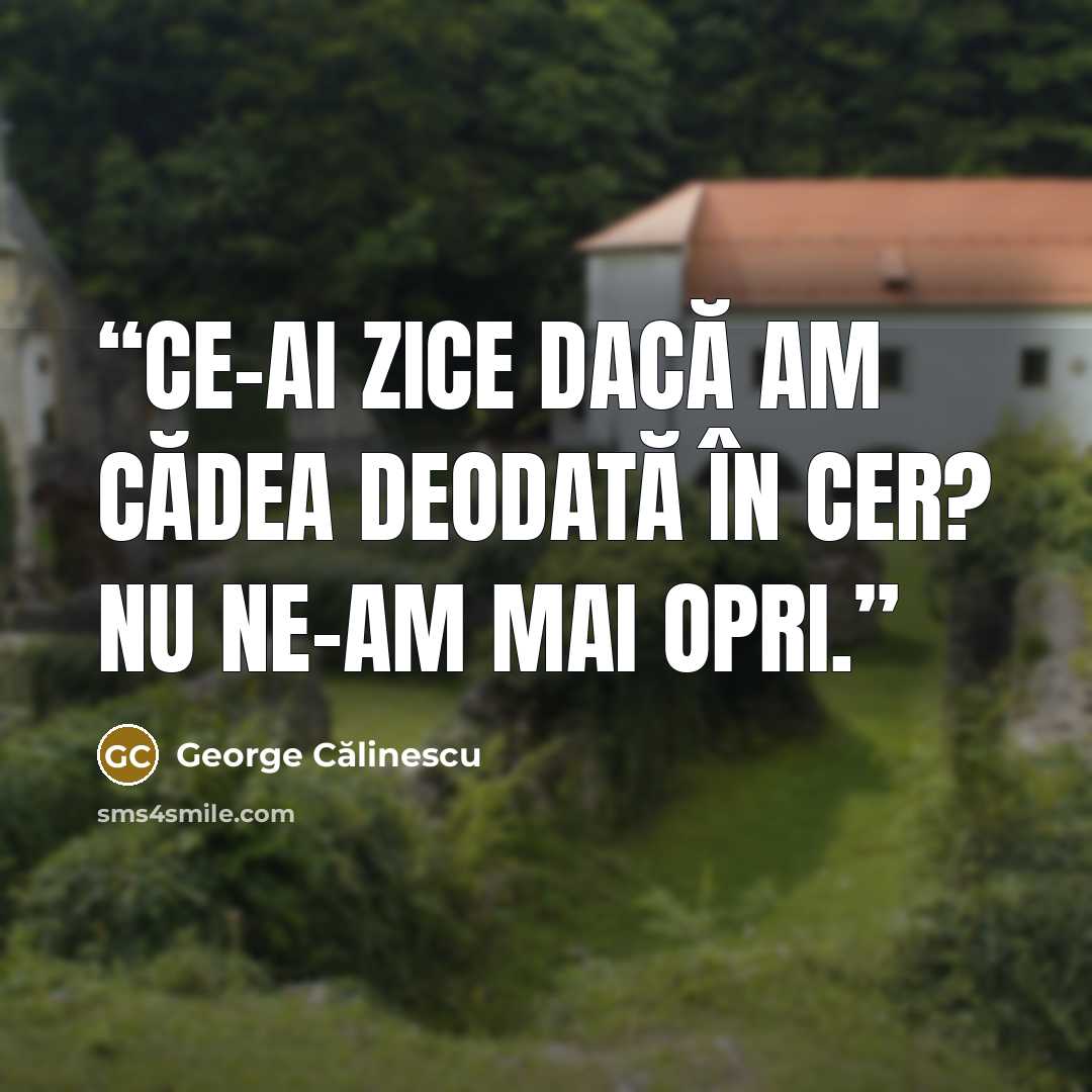 “Ce-ai zice dacă am cădea deodată în cer? Nu ne-am mai opri.” quote by George Călinescu