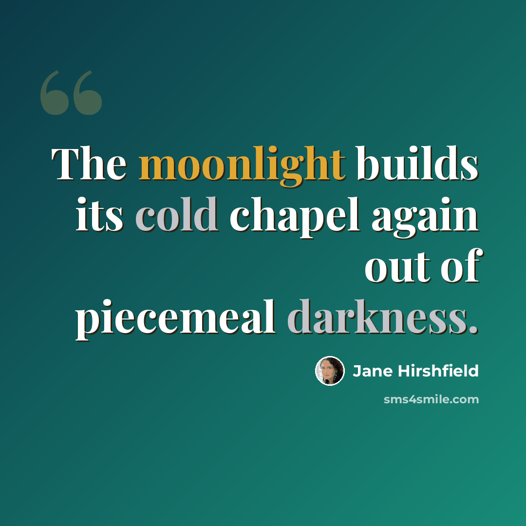 “The moonlight builds its cold chapel again out of piecemeal darkness.” quote by Jane Hirshfield