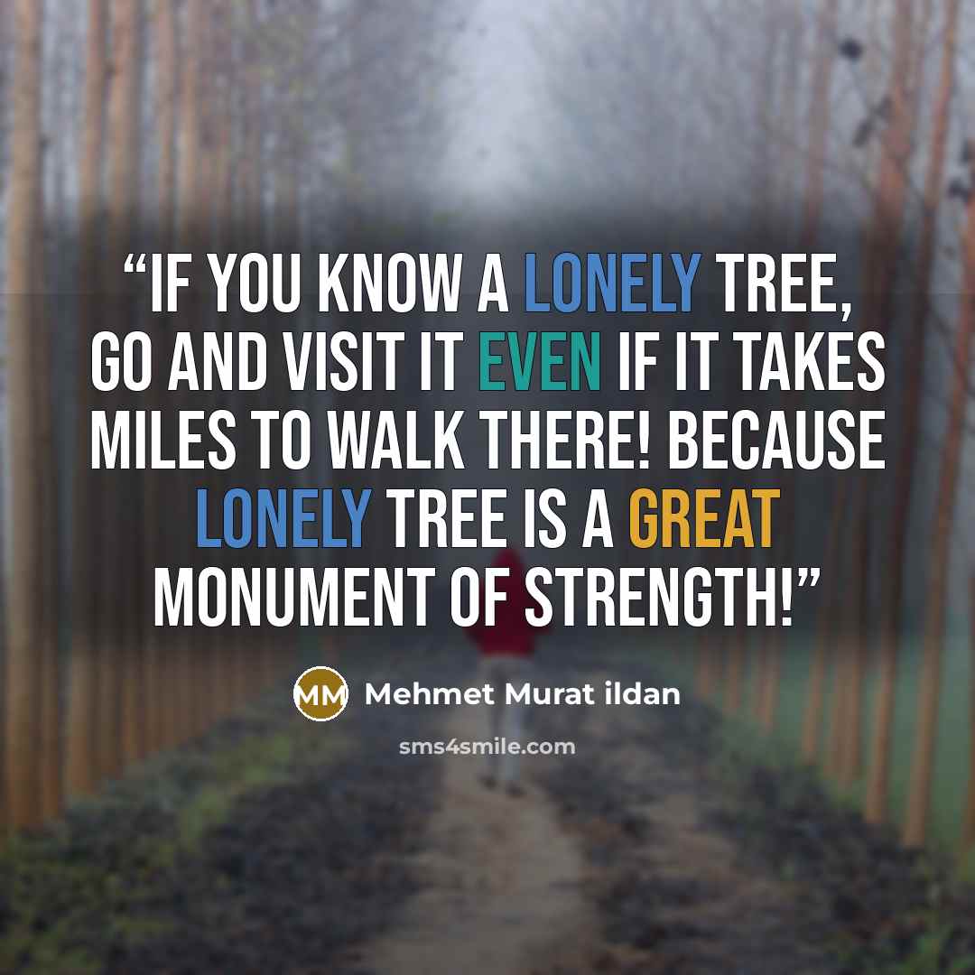 “If you know a lonely tree, go and visit it even if it takes miles to walk there! Because lonely tree is a great monument of strength!” quote by Mehmet Murat ildan