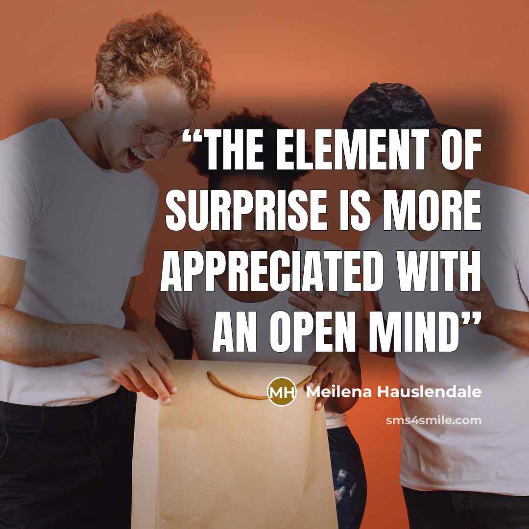 “the element of surprise is more appreciated with an open mind” quote by Meilena Hauslendale