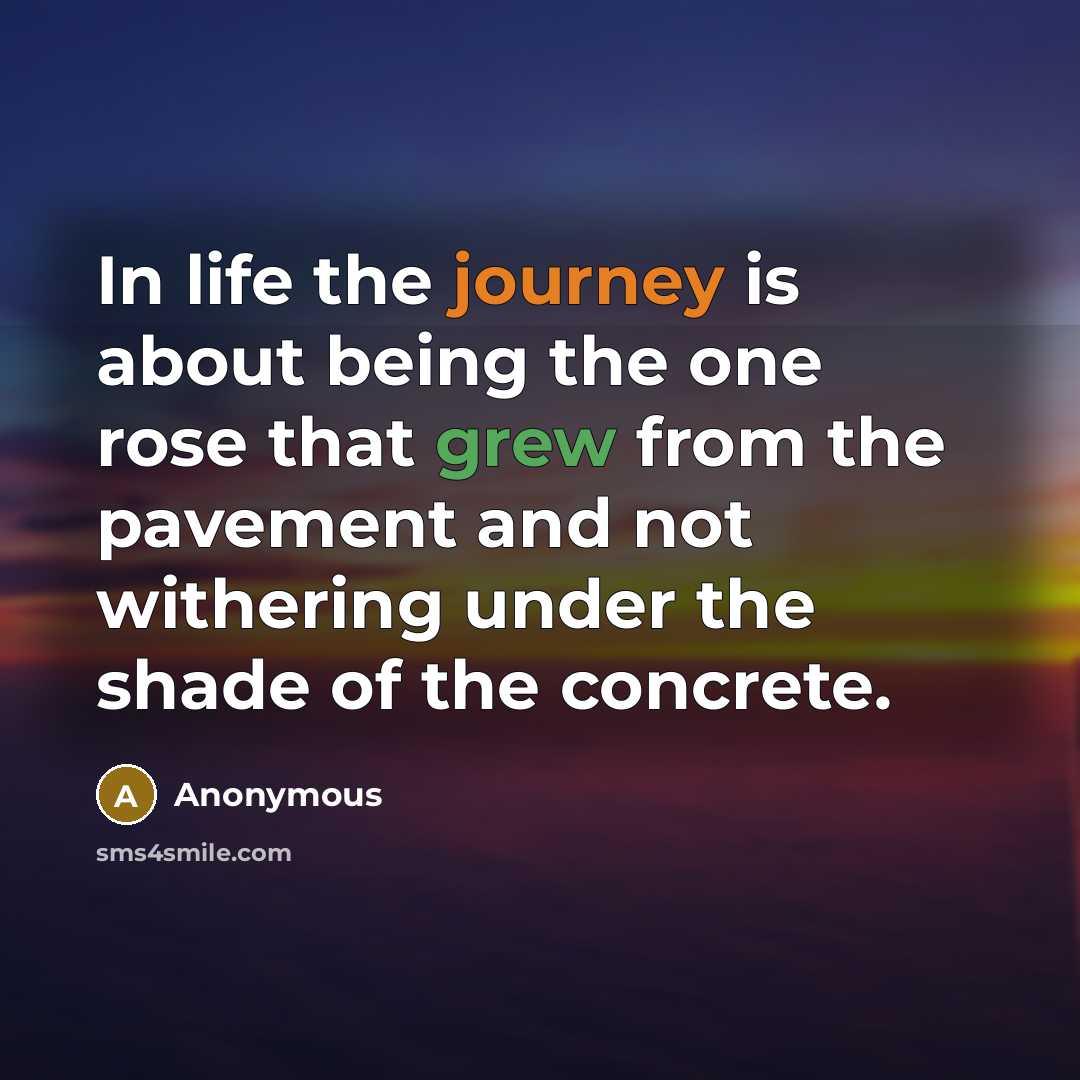 “In life the journey is about being the one rose that grew from the pavement and not withering under the shade of the concrete.” quote by Anonymous