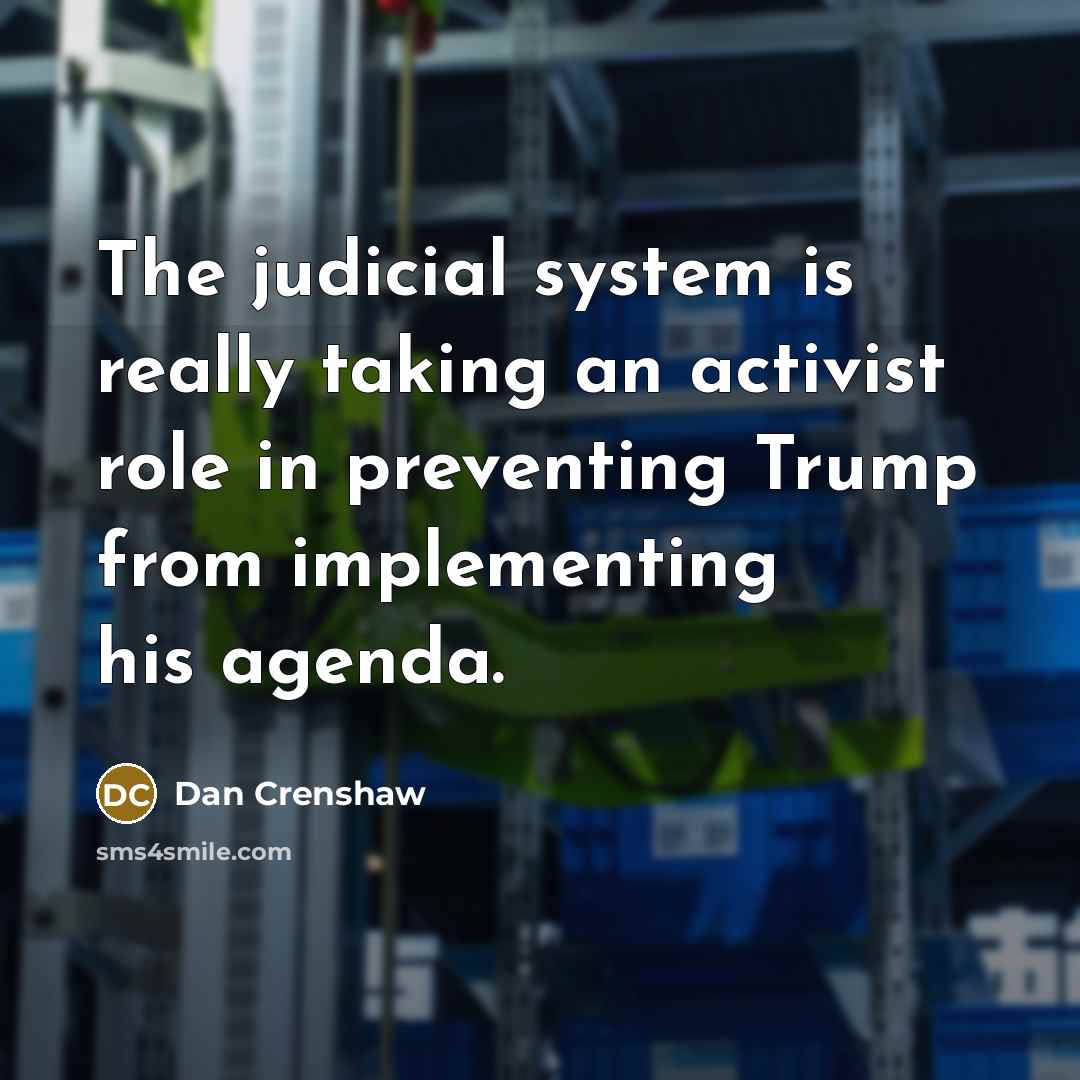 “The judicial system is really taking an activist role in preventing Trump from implementing his agenda.” quote by Dan Crenshaw