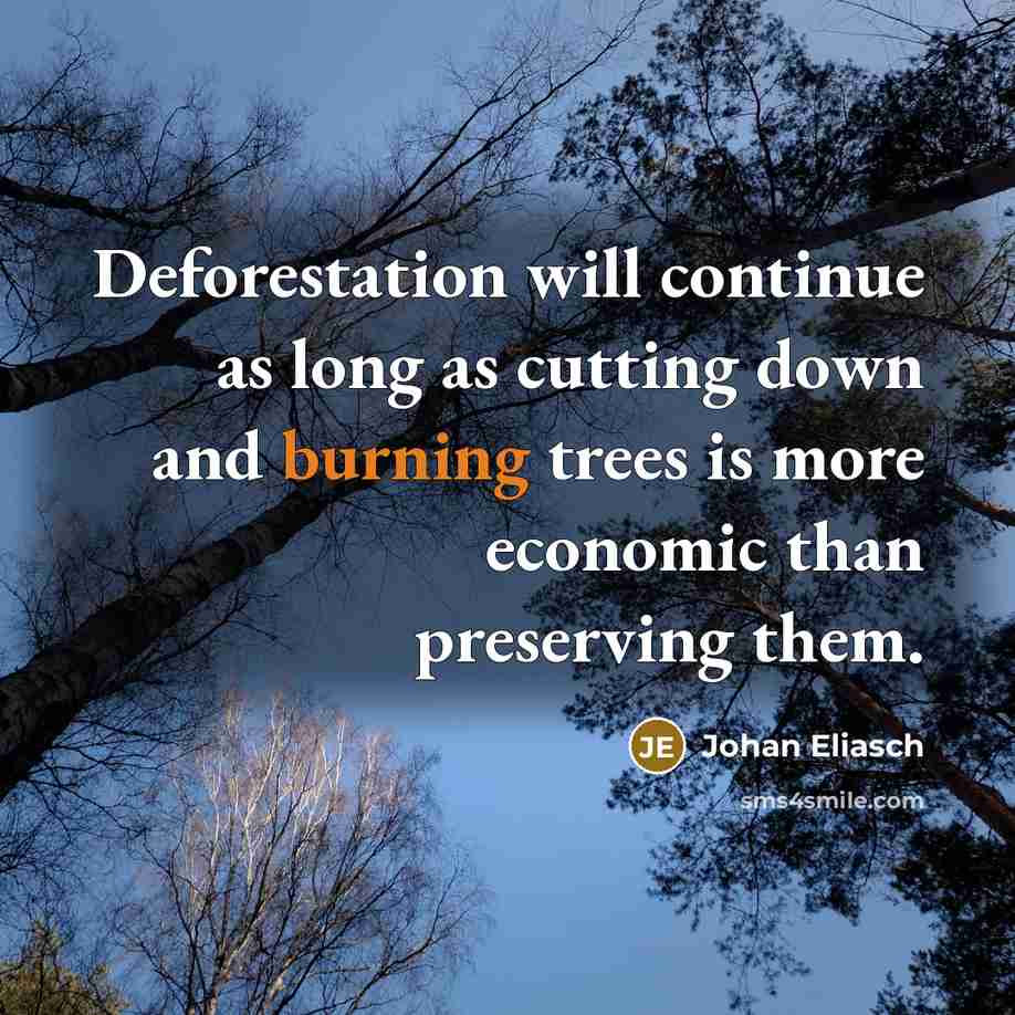“Deforestation will continue as long as cutting down and burning trees is more economic than preserving them.” quote by Johan Eliasch