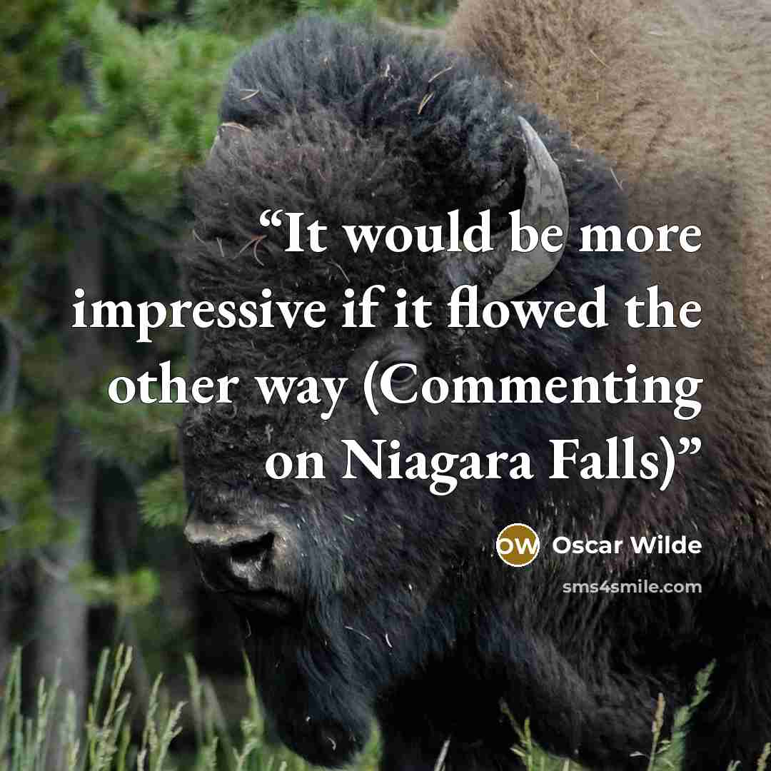 “It would be more impressive if it flowed the other way (Commenting on Niagara Falls)” quote by Oscar Wilde
