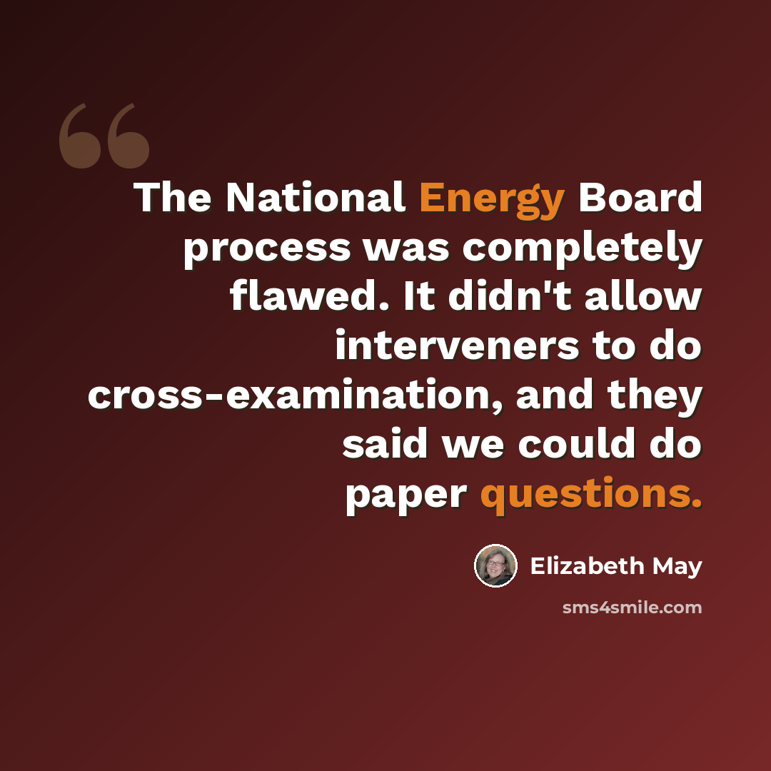“The National Energy Board process was completely flawed. It didn't allow interveners to do cross-examination, and they said we could do paper questions.” quote by Elizabeth May