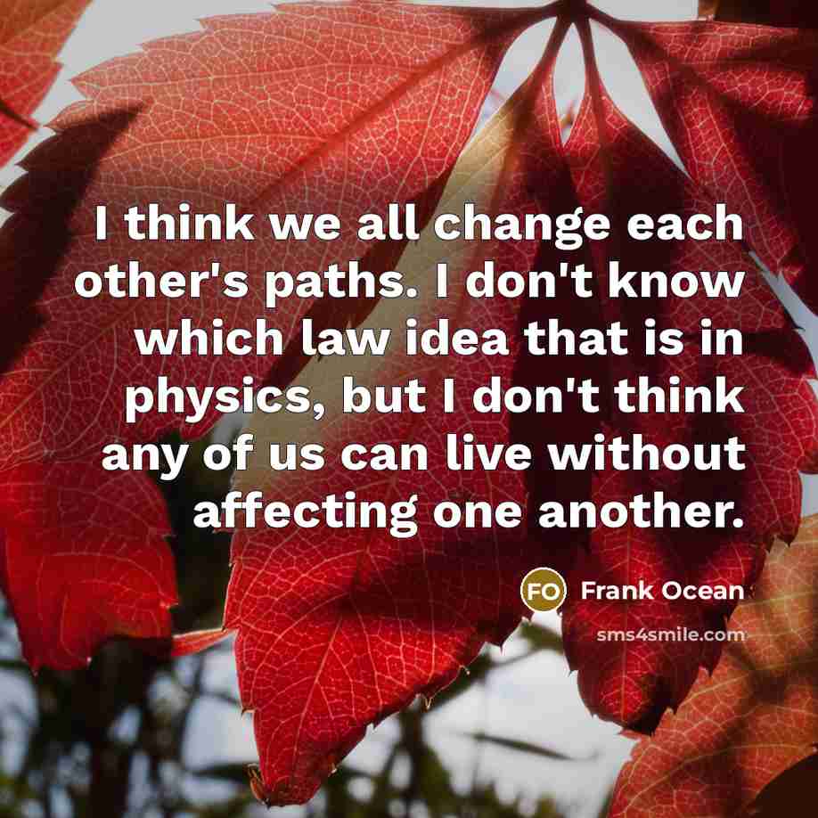 “I think we all change each other's paths. I don't know which law idea that is in physics, but I don't think any of us can live without affecting one another.” quote by Frank Ocean