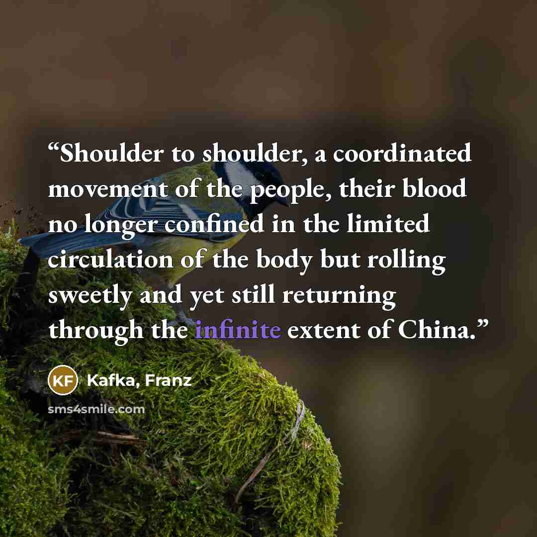 “Shoulder to shoulder, a coordinated movement of the people, their blood no longer confined in the limited circulation of the body but rolling sweetly and yet still returning through the infinite extent of China.” quote by Kafka, Franz