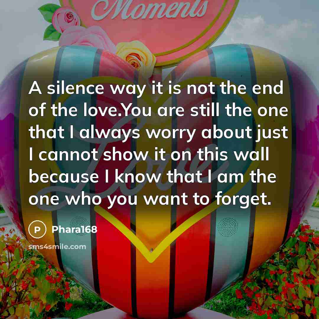 “A silence way it is not the end of the love.You are still the one that I always worry about just I cannot show it on this wall because I know that I am the one who you want to forget.” quote by Phara168