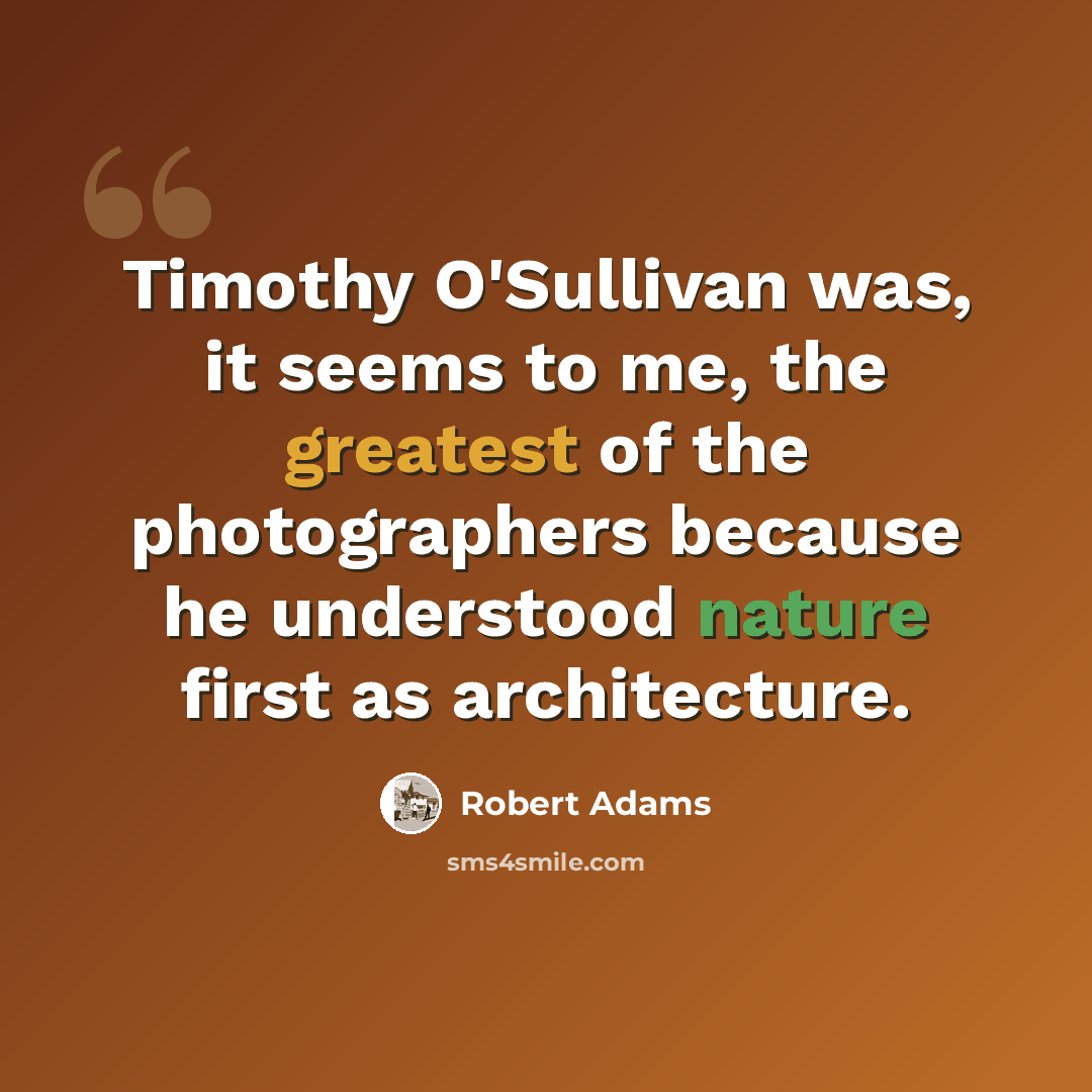 “Timothy O'Sullivan was, it seems to me, the greatest of the photographers because he understood nature first as architecture.” quote by Robert Adams