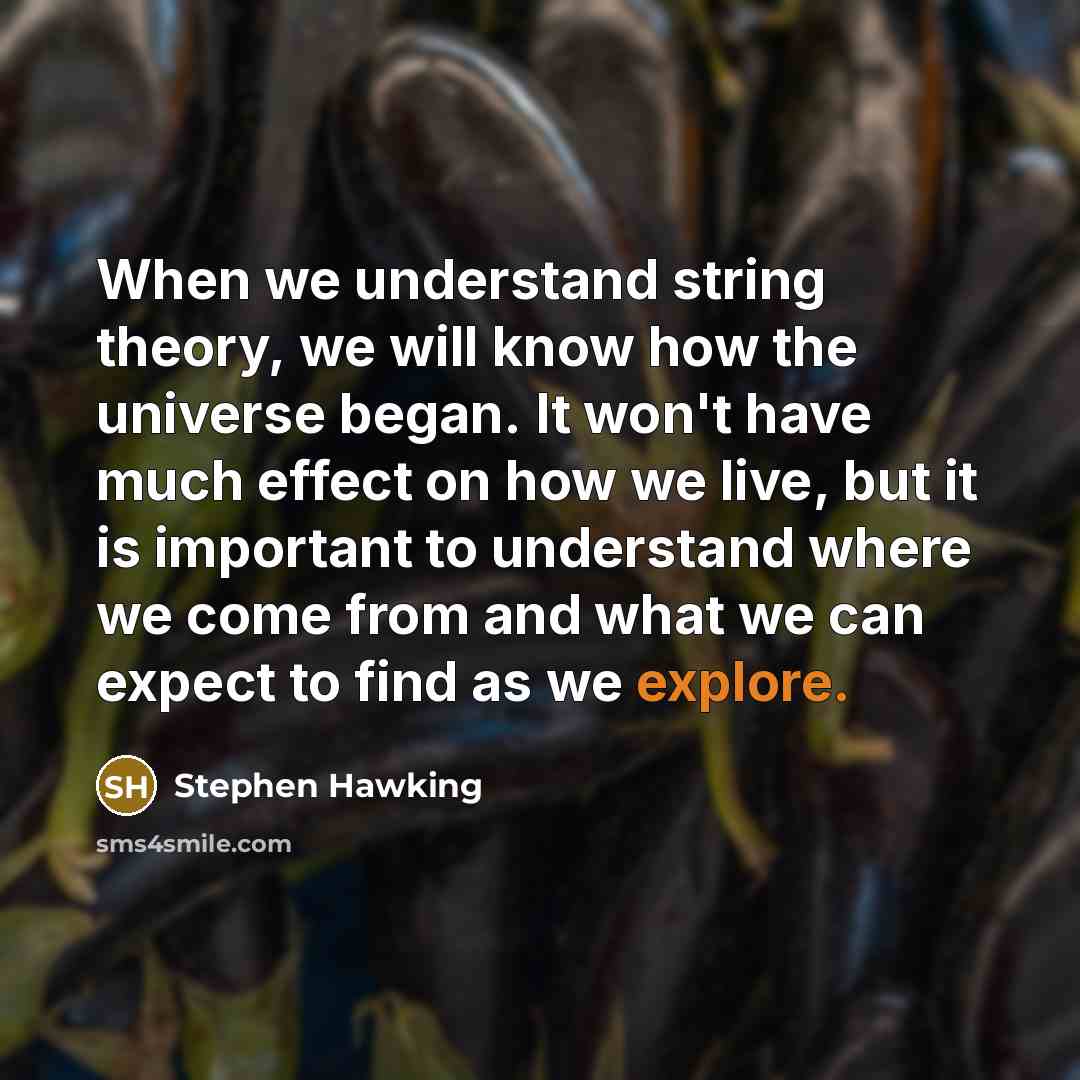 “When we understand string theory, we will know how the universe began. It won't have much effect on how we live, but it is important to understand where we come from and what we can expect to find as we explore.” quote by Stephen Hawking