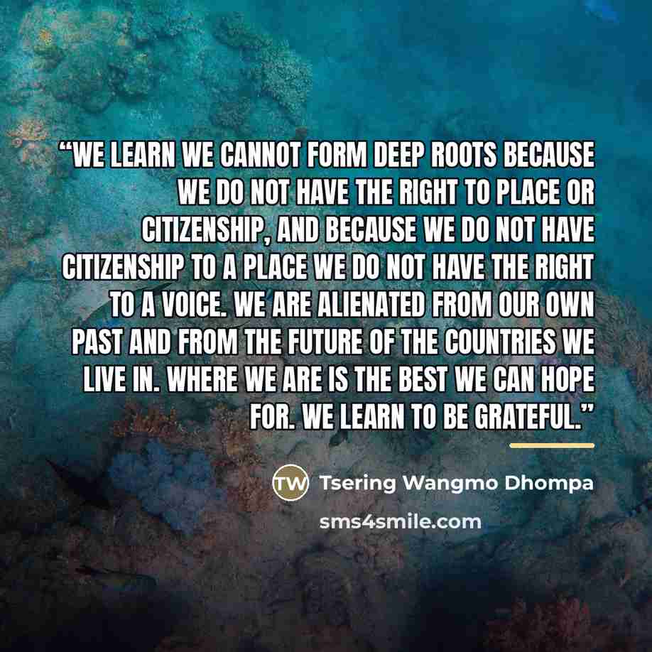 “We learn we cannot form deep roots because we do not have the right to place or citizenship, and because we do not have citizenship to a place we do not have the right to a voice. We are alienated from our own past and from the future of the countries we live in. Where we are is the best we can…” quote by Tsering Wangmo Dhompa